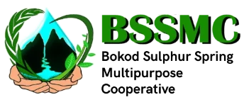 BSSMC
